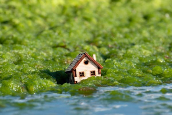 Smart Pricing Strategy That Helps in Selling a House Without Delays