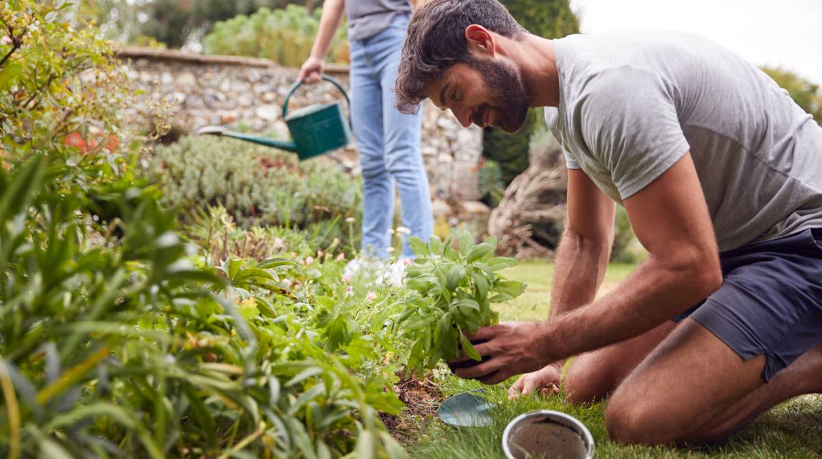 evergreen garden services