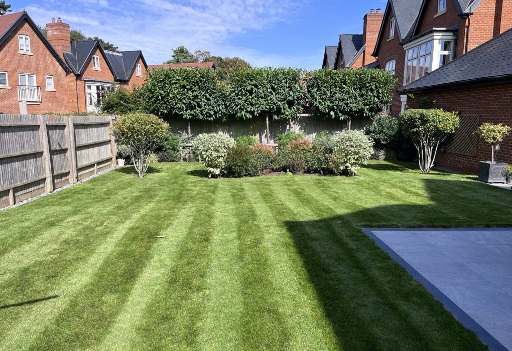 Reliable Gardening Experts Offer Seasonal Care Ensuring Strong Plant Growth And Longevity garden services coventry