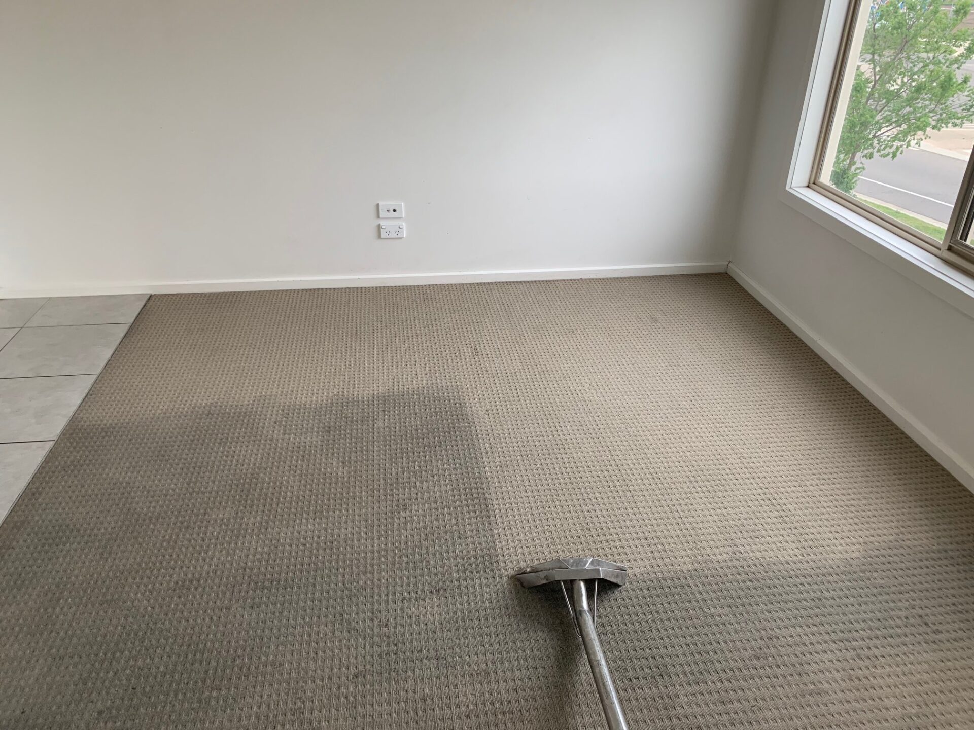 organic carpet cleaning
